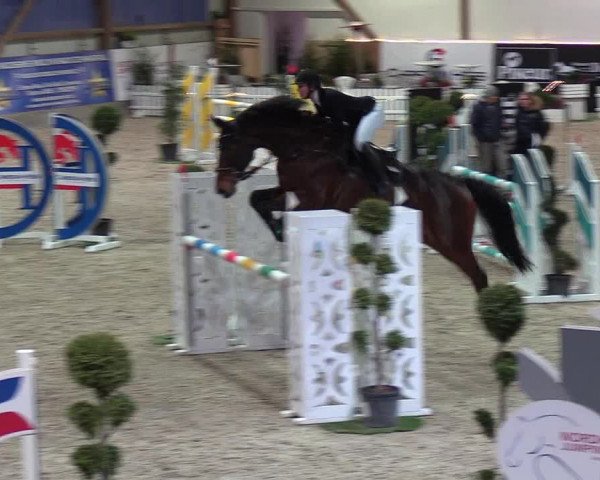 Nordic Jumping events 2019