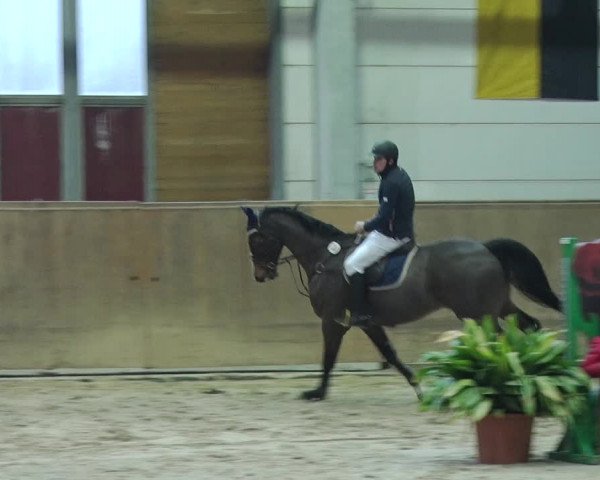 Reitturnier Prussendorf 2019