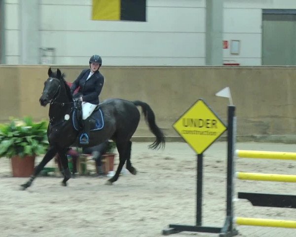 Reitturnier Prussendorf 2019