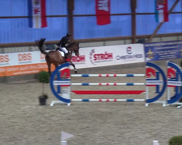Nordic Jumping events 2019