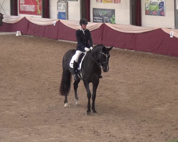 Reitturnier Eppelheim 2019