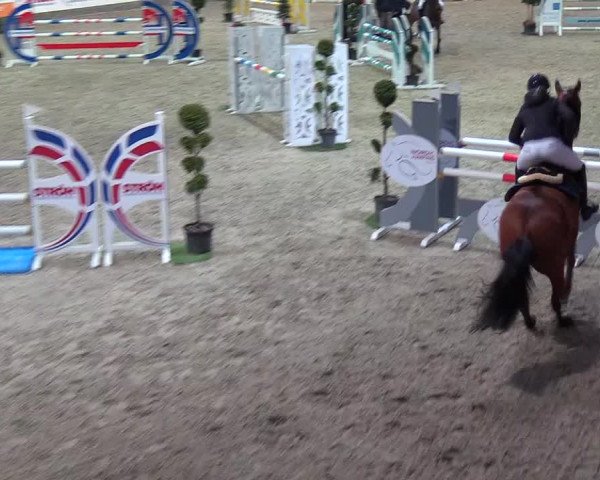Nordic Jumping events 2019