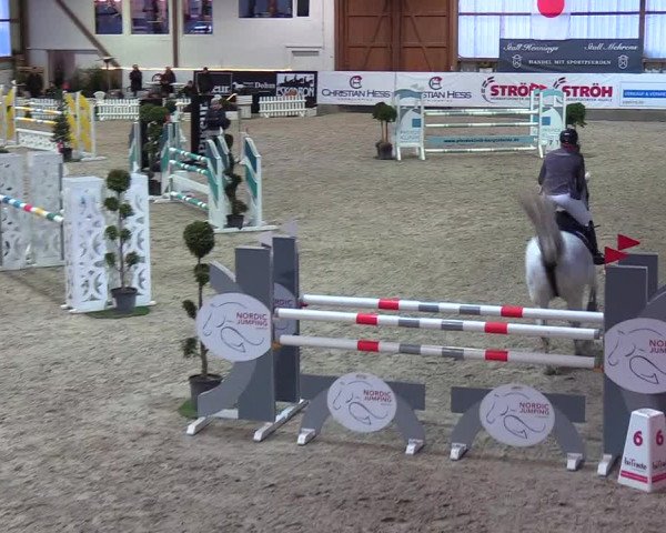 Nordic Jumping events 2019