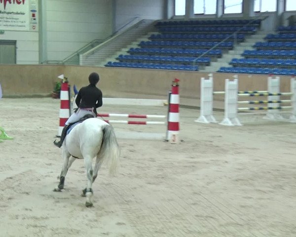 Reitturnier Prussendorf 2019