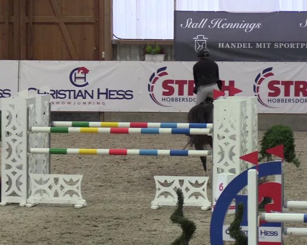 Nordic Jumping events 2019