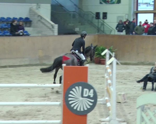 Reitturnier Prussendorf 2019
