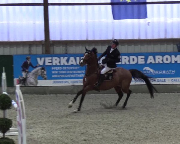 Nordic Jumping events 2019