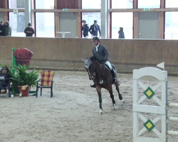 Reitturnier Prussendorf 2019
