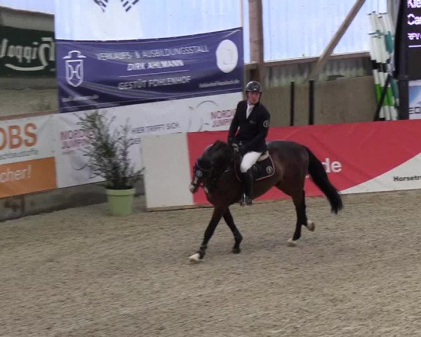 Nordic Jumping events 2019