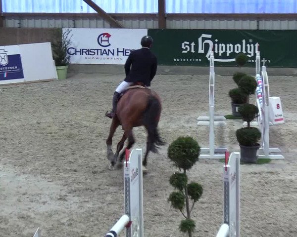 Nordic Jumping events 2019