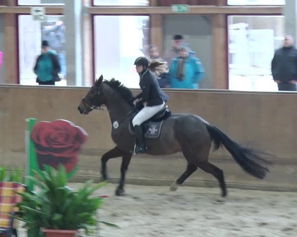 Reitturnier Prussendorf 2019