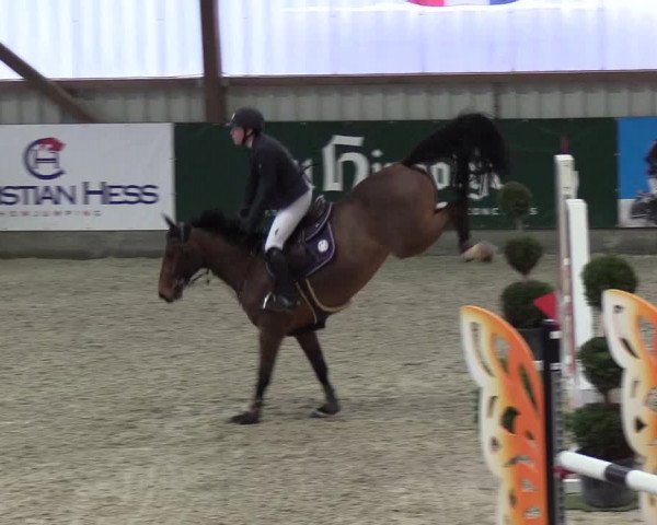 Nordic Jumping events 2019