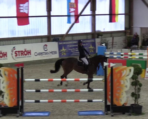 Nordic Jumping events 2019