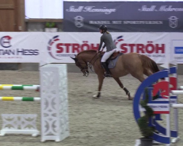 Nordic Jumping events 2019