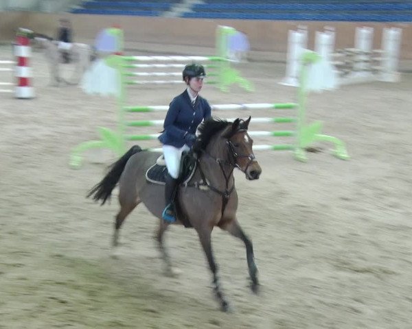 Reitturnier Prussendorf 2019