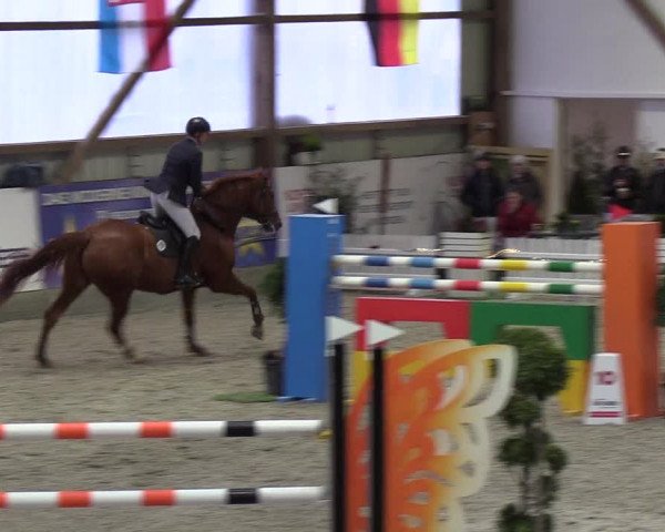 Nordic Jumping events 2019