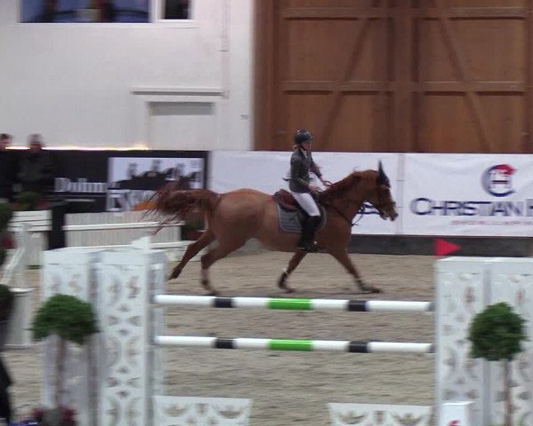 Nordic Jumping events 2019