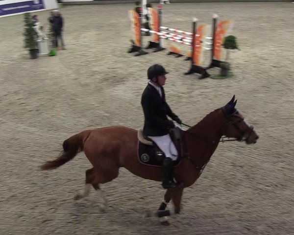 Nordic Jumping events 2019