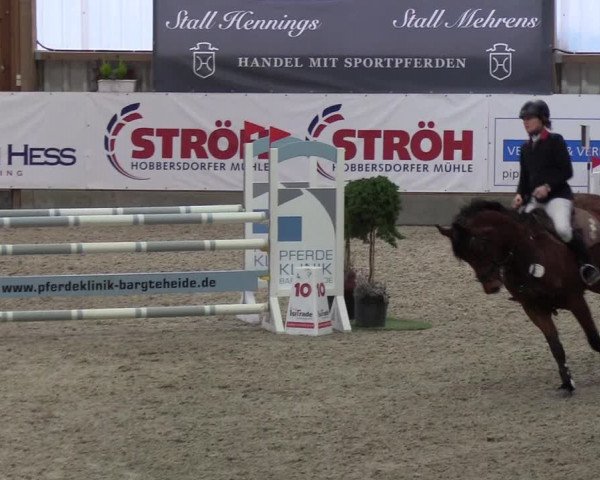 Nordic Jumping events 2019