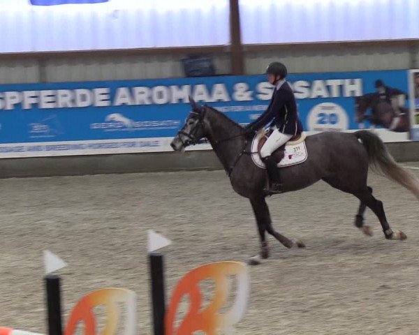 Nordic Jumping events 2019