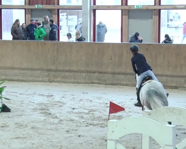 Reitturnier Prussendorf 2019