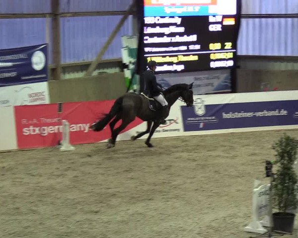 Nordic Jumping events 2019
