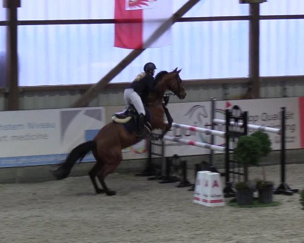 Nordic Jumping events 2019