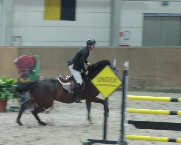 Reitturnier Prussendorf 2019