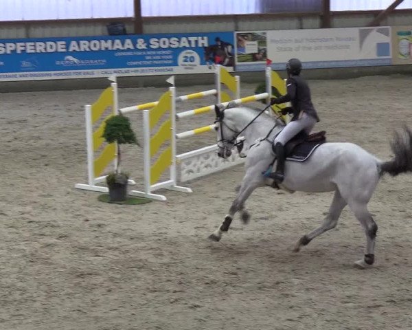 Nordic Jumping events 2019