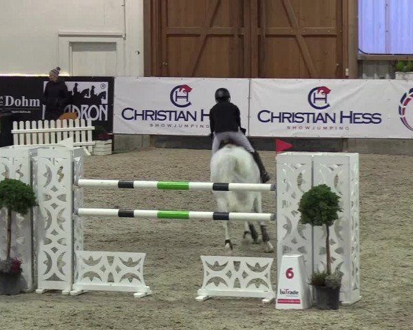 Nordic Jumping events 2019