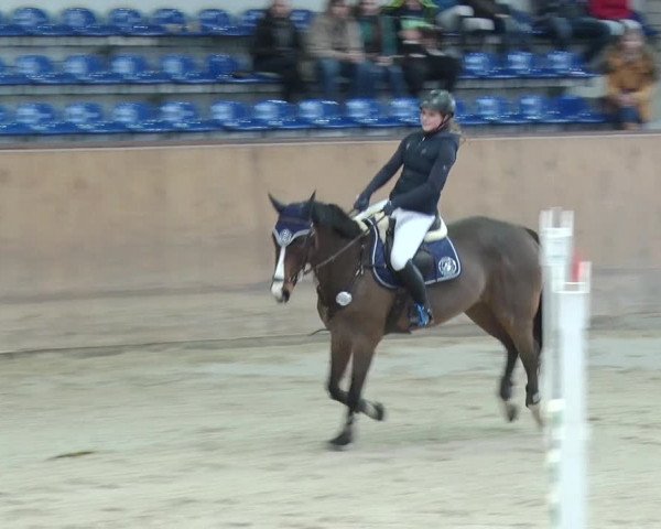 Reitturnier Prussendorf 2019
