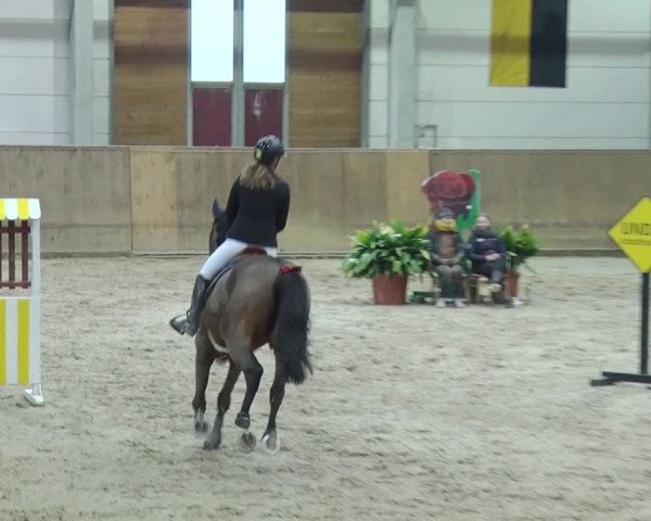 Reitturnier Prussendorf 2019