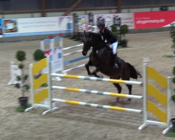 Nordic Jumping events 2019