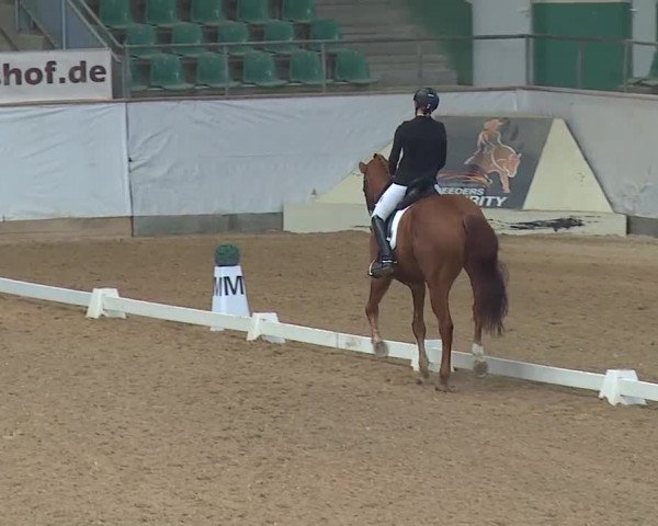 Reitturnier Kreuth 2019
