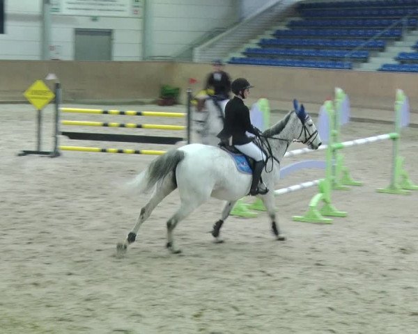 Reitturnier Prussendorf 2019
