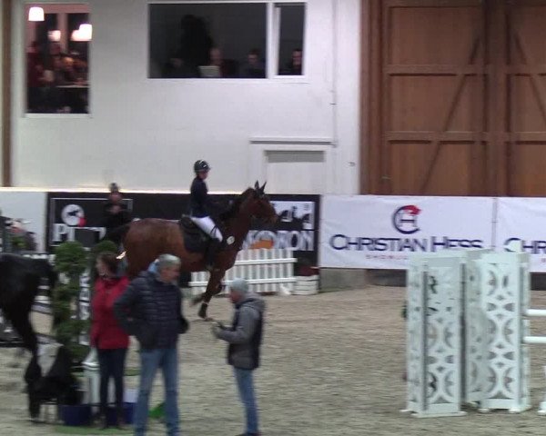 Nordic Jumping events 2019