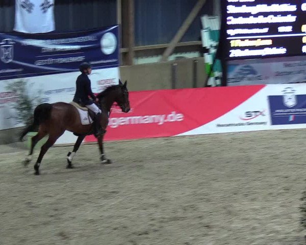 Nordic Jumping events 2019