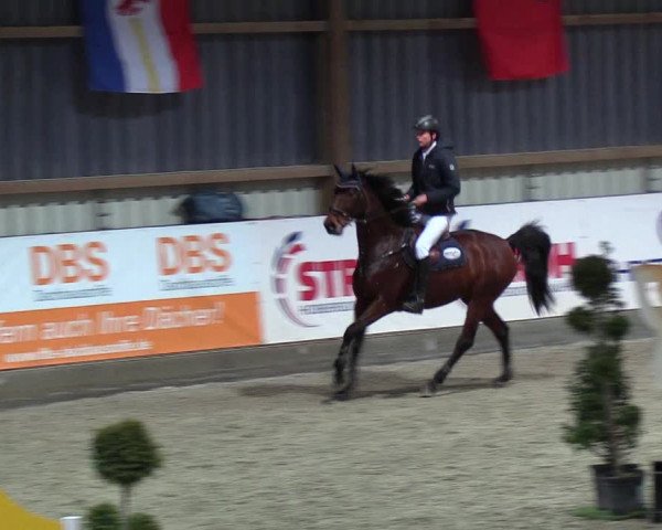 Nordic Jumping events 2019