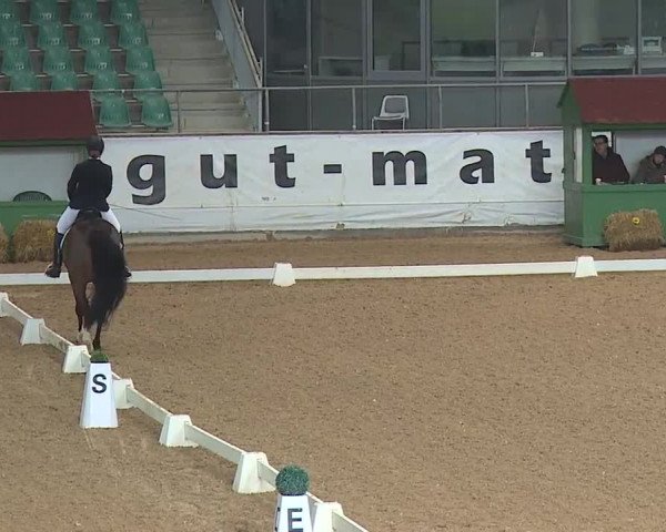 Reitturnier Kreuth 2019