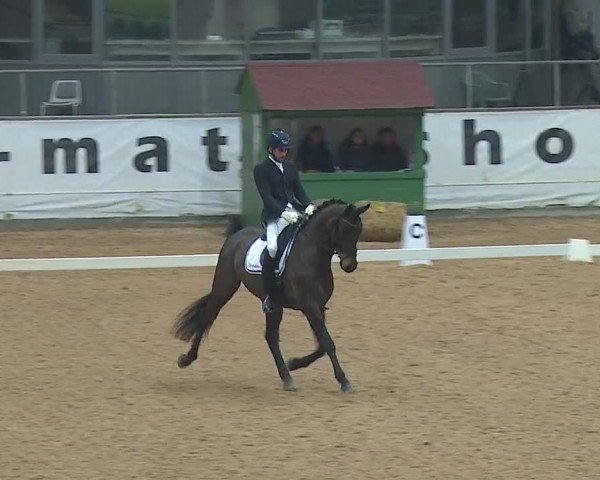 Reitturnier Kreuth 2019