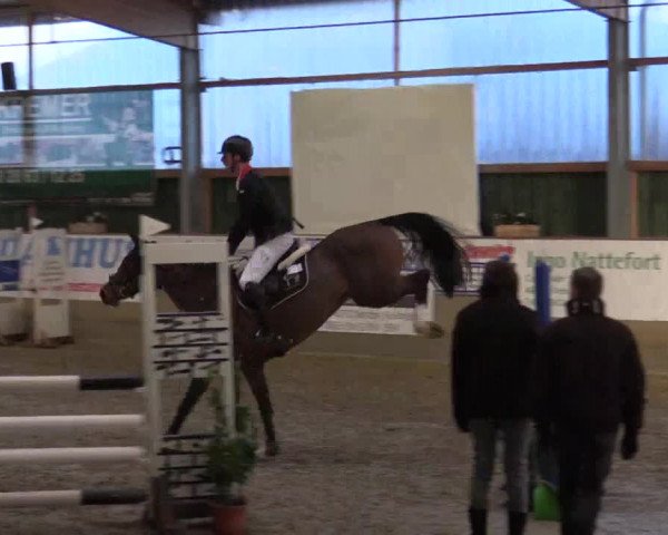 Reitturnier Velen 2019