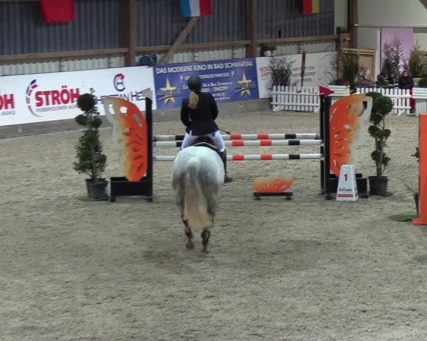 Nordic Jumping events 2019