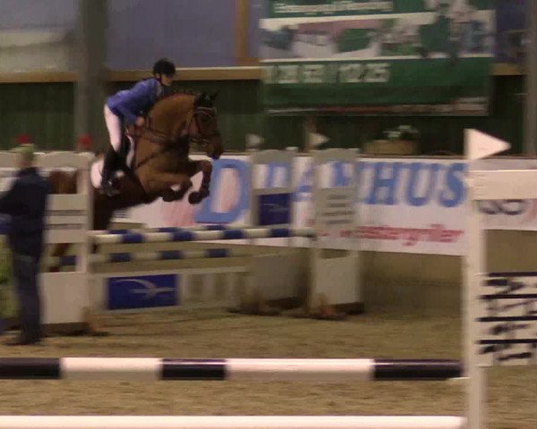 Reitturnier Velen 2019