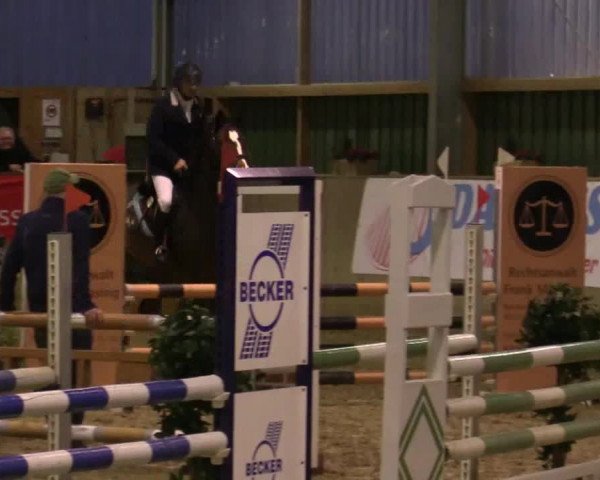 Reitturnier Velen 2019