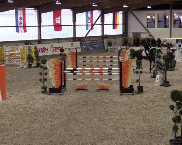 Nordic Jumping events 2019