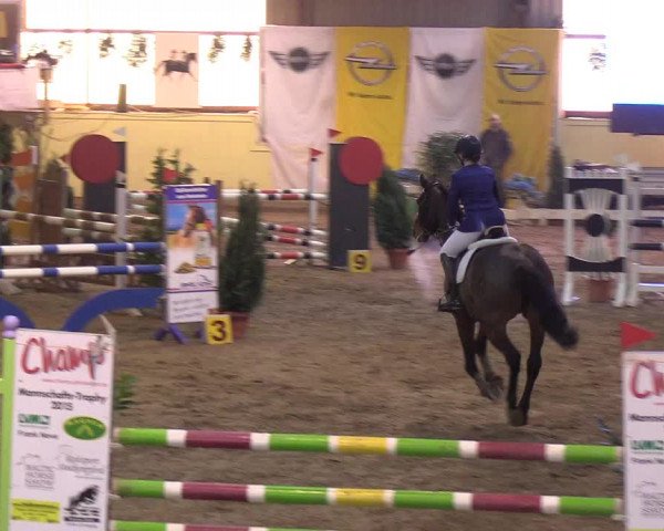 Reitturnier Looper Holz 2019