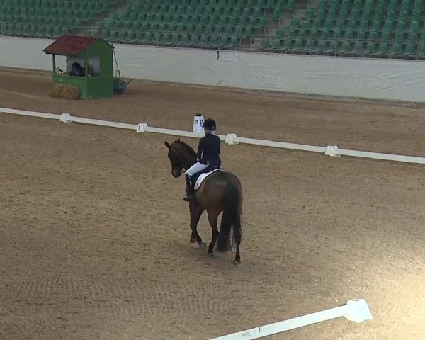 Reitturnier Kreuth 2019