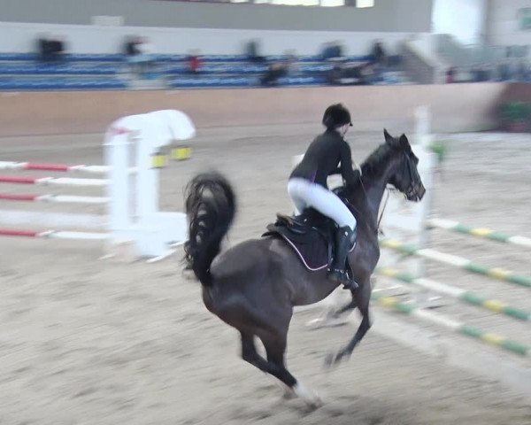 Reitturnier Prussendorf 2019