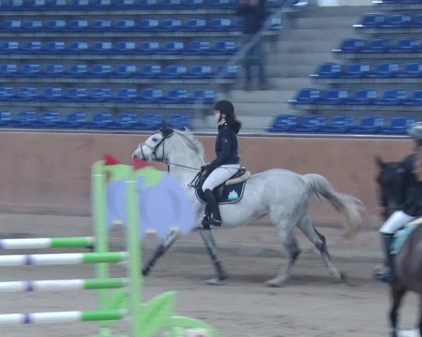 Reitturnier Prussendorf 2019