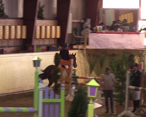 Reitturnier Looper Holz 2019